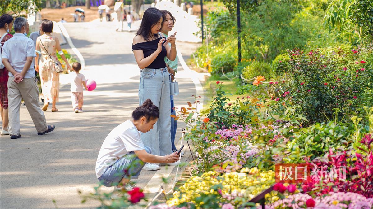 捕鱼达人之海底捞下载