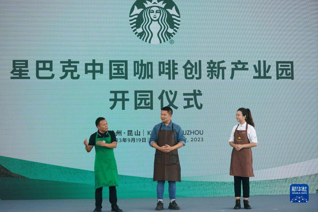 bet是什么